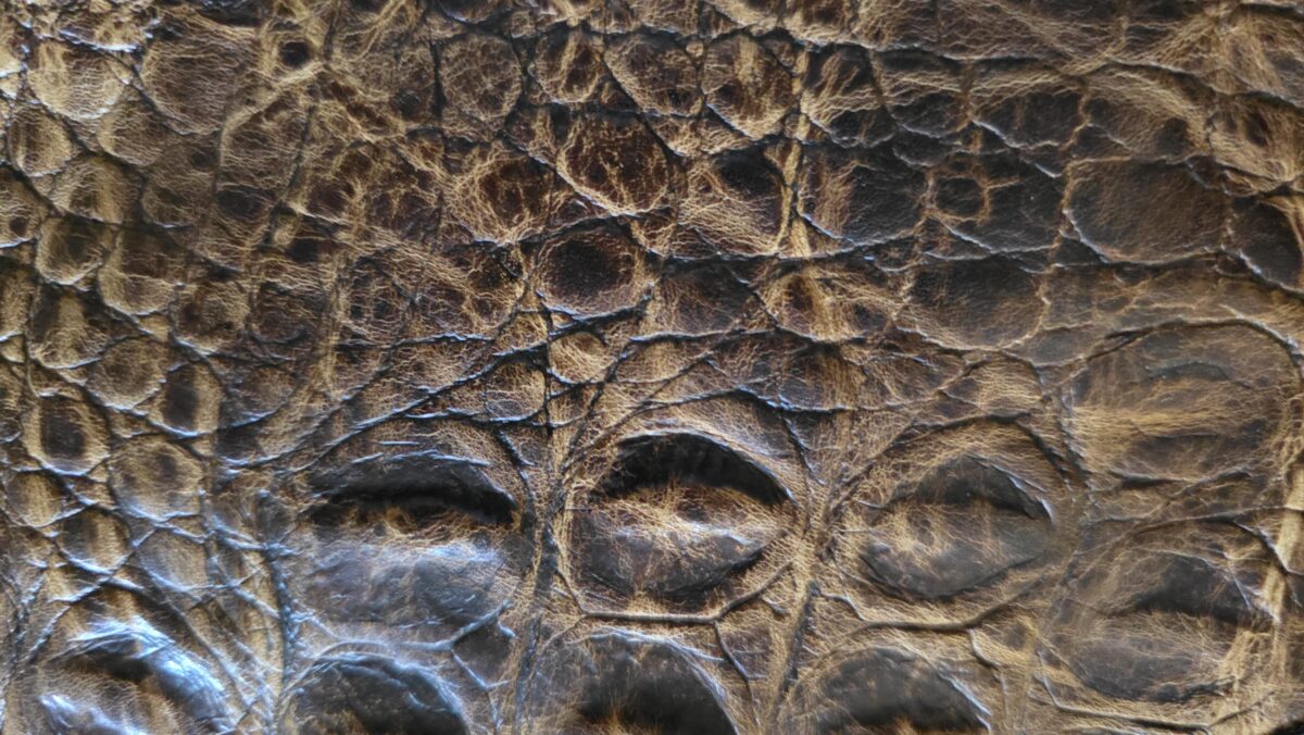 Medium Alligator-Embossed Cowhide Leather Pistol Case MP-2429 - Image 5